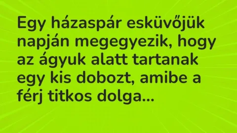 Vicc: Egy házaspár esküvőjük napján megegyezik, hogy az ágyuk alatt tartanak egy kis…