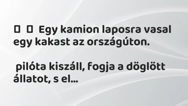 Vicc:
Egy kamion laposra vasal egy kakast az országúton.
pilóta… Vicc:
Egy kamion laposra vasal egy kakast az országúton.
pilóta…
