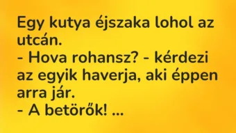 Vicc: Egy kutya éjszaka lohol az utcán. – Hova rohansz? – kérdezi az egyik…