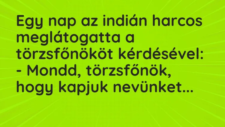 Vicc: Egy nap az indián harcos meglátogatta a törzsfőnököt kérdésével: – Mondd,…