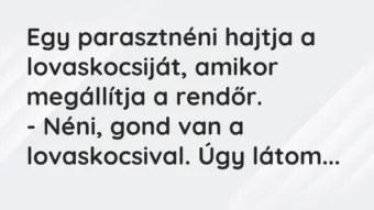 Vicc: Egy parasztnéni hajtja a lovaskocsiját, amikor megállítja a rendőr. – Néni,…