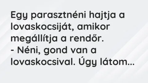 Vicc: Egy parasztnéni hajtja a lovaskocsiját, amikor megállítja a rendőr.

– Néni,…