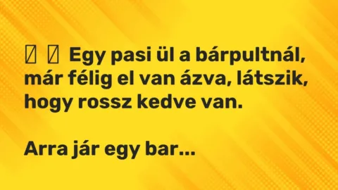 Vicc: 
	    	    Egy pasi ül a bárpultnál, már félig el van ázva, látszik, hogy rossz …