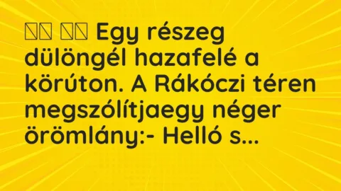 Vicc: 
		  
		  Egy részeg dülöngél hazafelé a körúton. A Rákóczi téren…