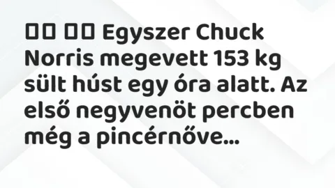 Vicc: 
		  
		  Egyszer Chuck Norris megevett 153 kg sült húst egy óra…