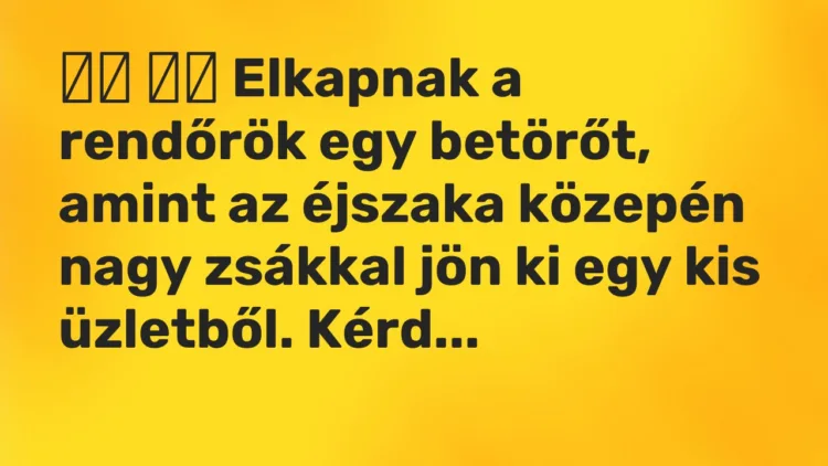 Vicc: Elkapnak a rendőrök egy betörőt, amint az éjszaka közepén…