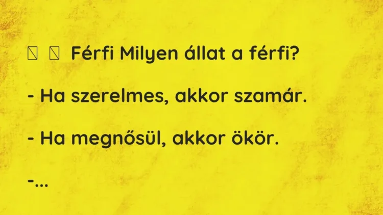Vicc:
Férfi Milyen állat a férfi?
– Ha szerelmes, akkor… Vicc:
Férfi Milyen állat a férfi?
– Ha szerelmes, akkor…