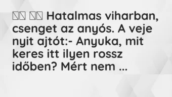 Vicc: Hatalmas viharban, csenget az anyós. A veje nyit…