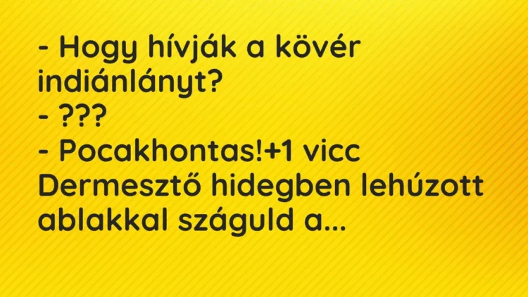 Vicc: – Hogy hívják a kövér indiánlányt?
– ???
– Pocakhontas! Vicc: – Hogy hívják a kövér indiánlányt?
– ???
– Pocakhontas!