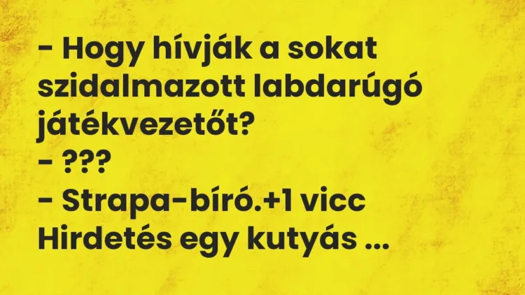Vicc: – Hogy hívják a sokat szidalmazott labdarúgó játékvezetőt?
– ???
-… Vicc: – Hogy hívják a sokat szidalmazott labdarúgó játékvezetőt?
– ???
-…