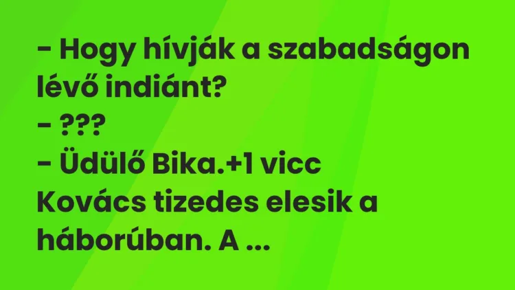 Vicc: – Hogy hívják a szabadságon lévő indiánt? – ??? – Üdülő Bika.