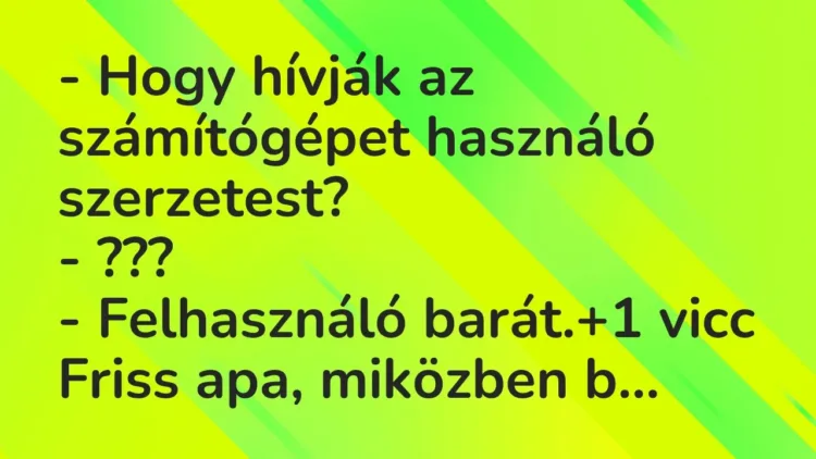 Vicc: – Hogy hívják az számítógépet használó szerzetest?
– ???
– Felhasználó… Vicc: – Hogy hívják az számítógépet használó szerzetest?
– ???
– Felhasználó…