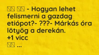 Vicc: – Hogyan lehet felismerni a gazdag etiópot?- ???-…
