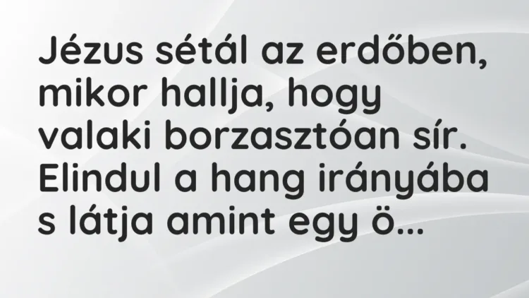 Vicc: Jézus sétál az erdőben, mikor hallja, hogy valaki borzasztóan sír. Elindul a… Vicc: Jézus sétál az erdőben, mikor hallja, hogy valaki borzasztóan sír. Elindul a…