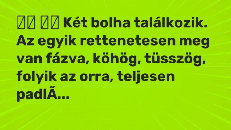 Vicc:
Két bolha találkozik. Az egyik rettenetesen meg van fázva, … Vicc:
Két bolha találkozik. Az egyik rettenetesen meg van fázva, …
