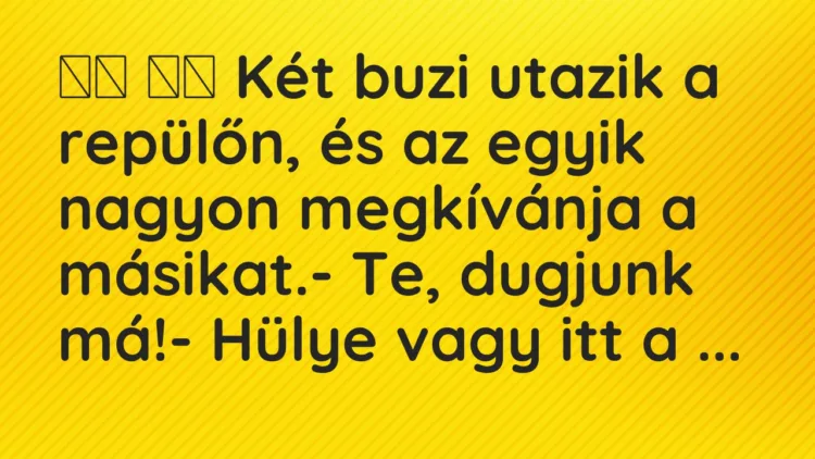 Vicc: Két buzi utazik a repülőn, és az egyik nagyon megkívánja a …
