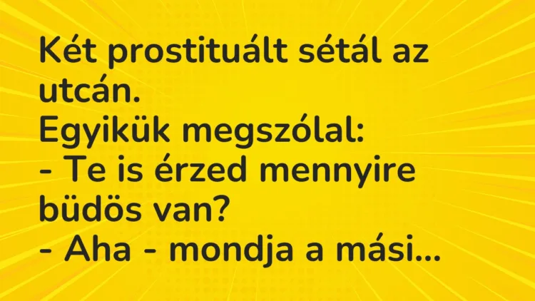 Vicc: Két prostituált sétál az utcán. Egyikük megszólal: – Te is érzed…