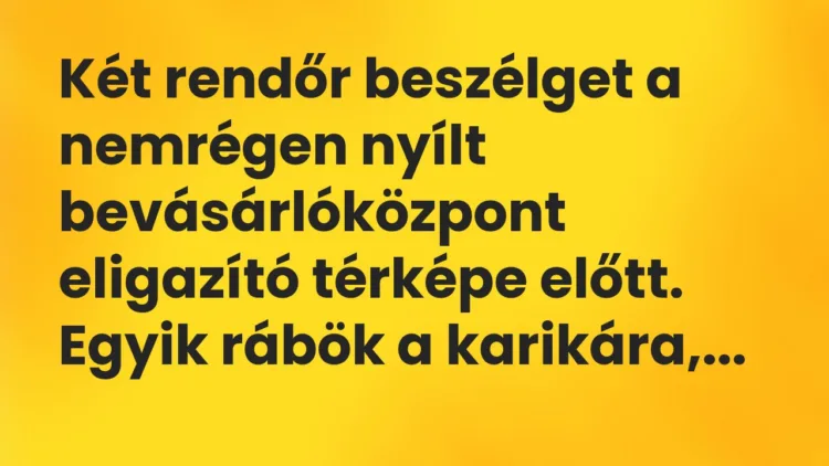 Vicc: Két rendőr beszélget a nemrégen nyílt bevásárlóközpont eligazító térképe előtt….