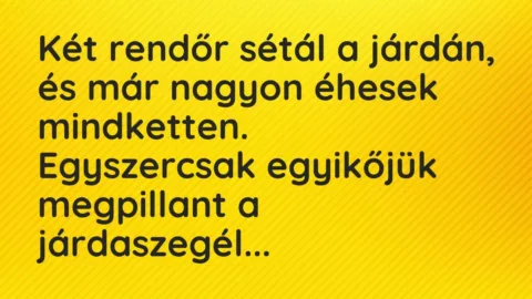 Vicc: Két rendőr sétál a járdán, és már nagyon éhesek mindketten.

Egyszercsak egy…