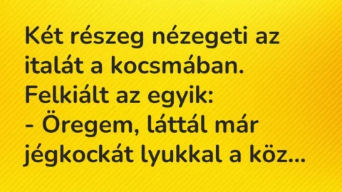 Vicc: Két részeg nézegeti az italát a kocsmában. Felkiált az egyik:

– Öregem,…