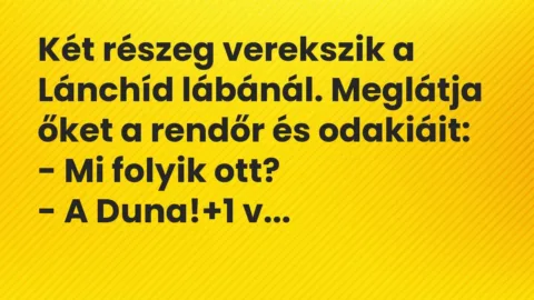Vicc: Két részeg verekszik a Lánchíd lábánál. Meglátja őket a rendőr és…
