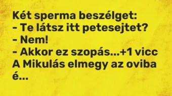 Vicc: Két sperma beszélget: – Te látsz itt petesejtet? – Nem! – Akkor…