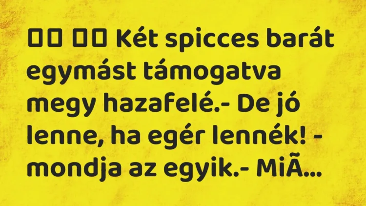 Vicc: Két spicces barát egymást támogatva megy hazafelé.- De …