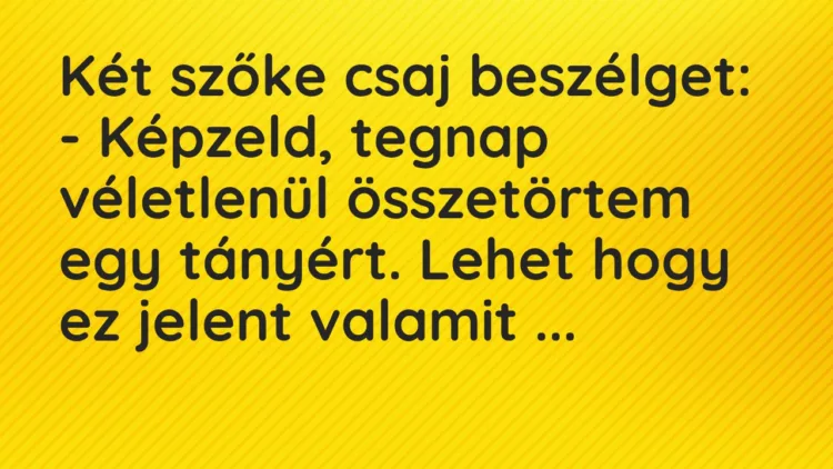Vicc: Két szőke csaj beszélget: – Képzeld, tegnap véletlenül összetörtem egy…