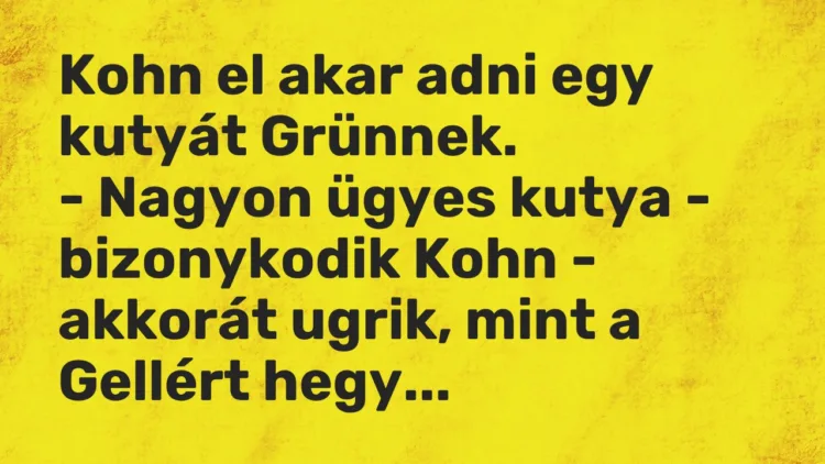 Vicc: Kohn el akar adni egy kutyát Grünnek.
– Nagyon ügyes kutya – bizonykodik… Vicc: Kohn el akar adni egy kutyát Grünnek.
– Nagyon ügyes kutya – bizonykodik…