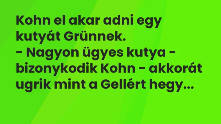 Vicc: Kohn el akar adni egy kutyát Grünnek.
– Nagyon ügyes kutya – bizonykodik… Vicc: Kohn el akar adni egy kutyát Grünnek.
– Nagyon ügyes kutya – bizonykodik…