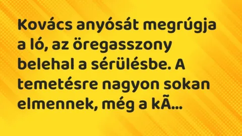 Vicc: Kovács anyósát megrúgja a ló, az öregasszony belehal a sérülésbe. A temetésre…