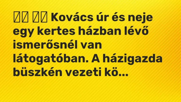 Vicc:
Kovács úr és neje egy kertes házban lévő ismerősnél van… Vicc:
Kovács úr és neje egy kertes házban lévő ismerősnél van…