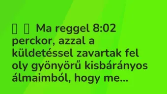 Vicc: 
	    	    Ma reggel 8:02 perckor, azzal a küldetéssel zavartak fel oly gyönyörű…
