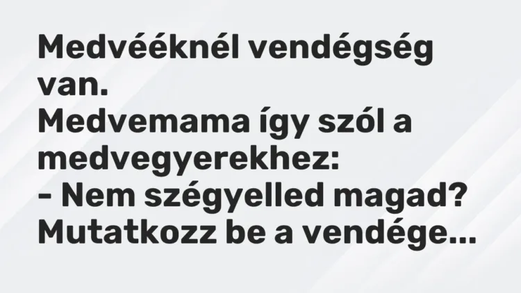 Vicc: Medvééknél vendégség van.
Medvemama így szól a medvegyerekhez:
– Nem… Vicc: Medvééknél vendégség van.
Medvemama így szól a medvegyerekhez:
– Nem…