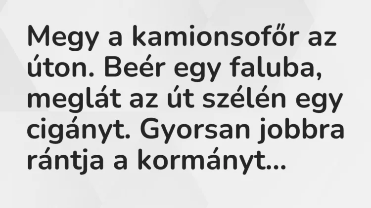 Vicc: Megy a kamionsofőr az úton. Beér egy faluba, meglát az út szélén egy cigányt…. Vicc: Megy a kamionsofőr az úton. Beér egy faluba, meglát az út szélén egy cigányt….