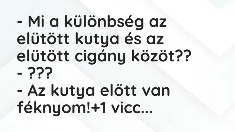 Vicc: – Mi a különbség az elütött kutya és az elütött cigány közöt?? – ??? -…