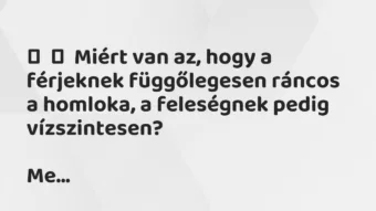 Vicc: Miért van az, hogy a férjeknek függőlegesen ráncos a homloka, a…