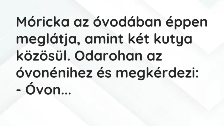 Vicc: Móricka az óvodában éppen meglátja, amint két kutya közösül. Odarohan az… Vicc: Móricka az óvodában éppen meglátja, amint két kutya közösül. Odarohan az…