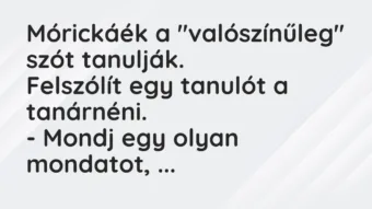 Vicc: Mórickáék a „valószínűleg” szót tanulják. Felszólít egy tanulót a tanárnéni…