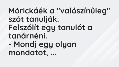 Vicc: Mórickáék a „valószínűleg” szót tanulják.

Felszólít egy tanulót a tanárnéni…