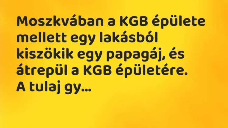 Vicc: Moszkvában a KGB épülete mellett egy lakásból kiszökik egy papagáj, és átrepül a… Vicc: Moszkvában a KGB épülete mellett egy lakásból kiszökik egy papagáj, és átrepül a…