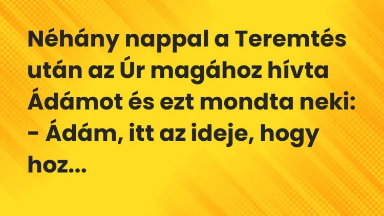 Vicc: Néhány nappal a Teremtés után az Úr magához hívta Ádámot és ezt mondta…