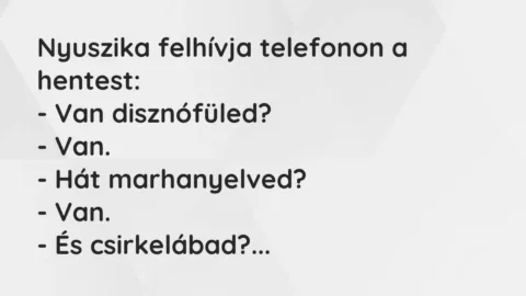 Vicc: Nyuszika felhívja telefonon a hentest:
– Van disznófüled?
-… Vicc: Nyuszika felhívja telefonon a hentest:
– Van disznófüled?
-…