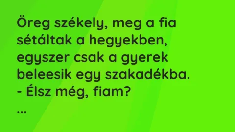 Vicc: Öreg székely, meg a fia sétáltak a hegyekben, egyszer csak a gyerek beleesik egy…