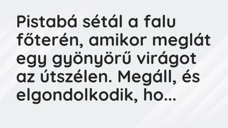 Vicc: Pistabá a városban sétál, és meglát egy kiskutyát. Vicc: Pistabá a városban sétál, és meglát egy kiskutyát.