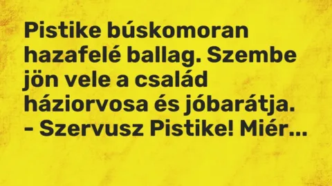 Vicc: Pistike búskomoran hazafelé ballag. Szembe jön vele a család háziorvosa és…
