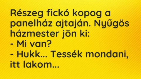 Vicc: Részeg fickó kopog a panelház ajtaján. Nyűgös házmester jön ki:

– Mi…