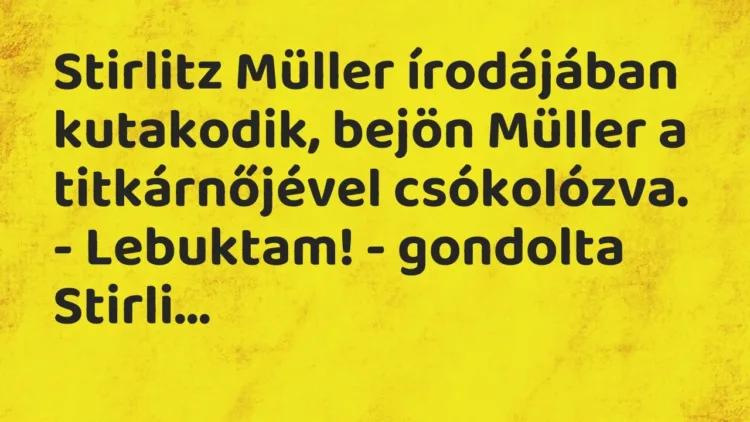 Vicc: Stirlitz Müller írodájában kutakodik, bejön Müller a titkárnőjével… Vicc: Stirlitz Müller írodájában kutakodik, bejön Müller a titkárnőjével…
