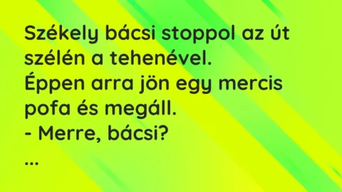 Vicc: Székely bácsi stoppol az út szélén a tehenével.

Éppen arra jön egy mercis…