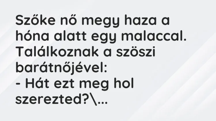 Vicc: Szőke nő megy haza a hóna alatt egy malaccal. Találkoznak a szöszi… Vicc: Szőke nő megy haza a hóna alatt egy malaccal. Találkoznak a szöszi…